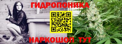 ПСИЛОЦИБИНОВЫЕ ГРИБЫ Тара